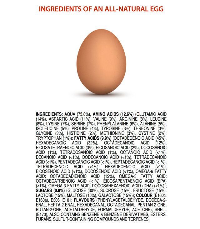eggchemicals_zpsad660b45.jpg