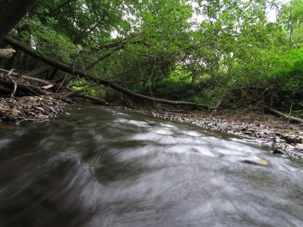 IMAGE: http://i1301.photobucket.com/albums/ag103/codyw80/IMG_0966_zpse2d0359d.jpg