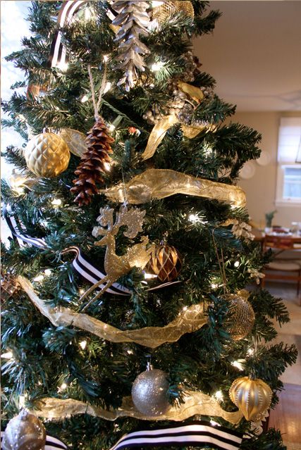 photo ChristmasTour19_zpsc910f88e.jpg