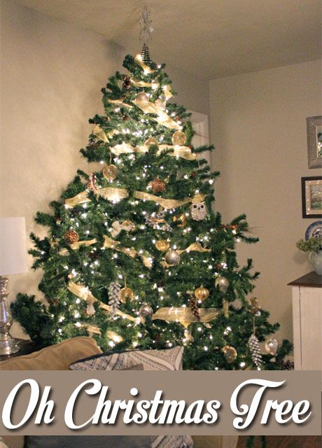 photo ChristmasTree1_zpsccaa4232.jpg