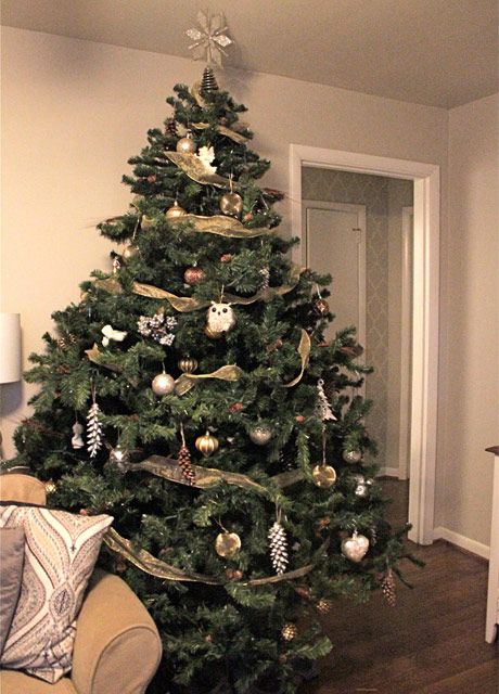 photo ChristmasTree6_zps8af8441a.jpg