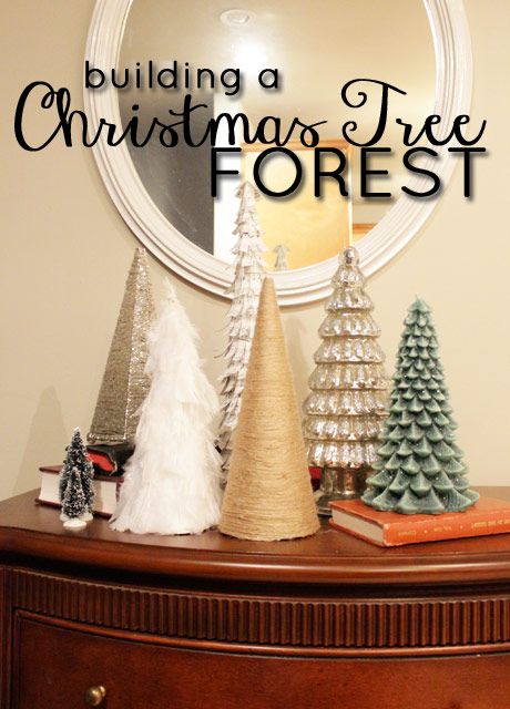 photo TreeForest1_zps29c35ca9.jpg