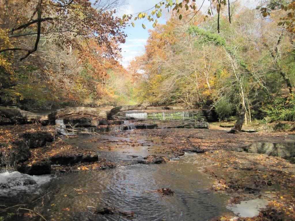 Camping Fall 2013
