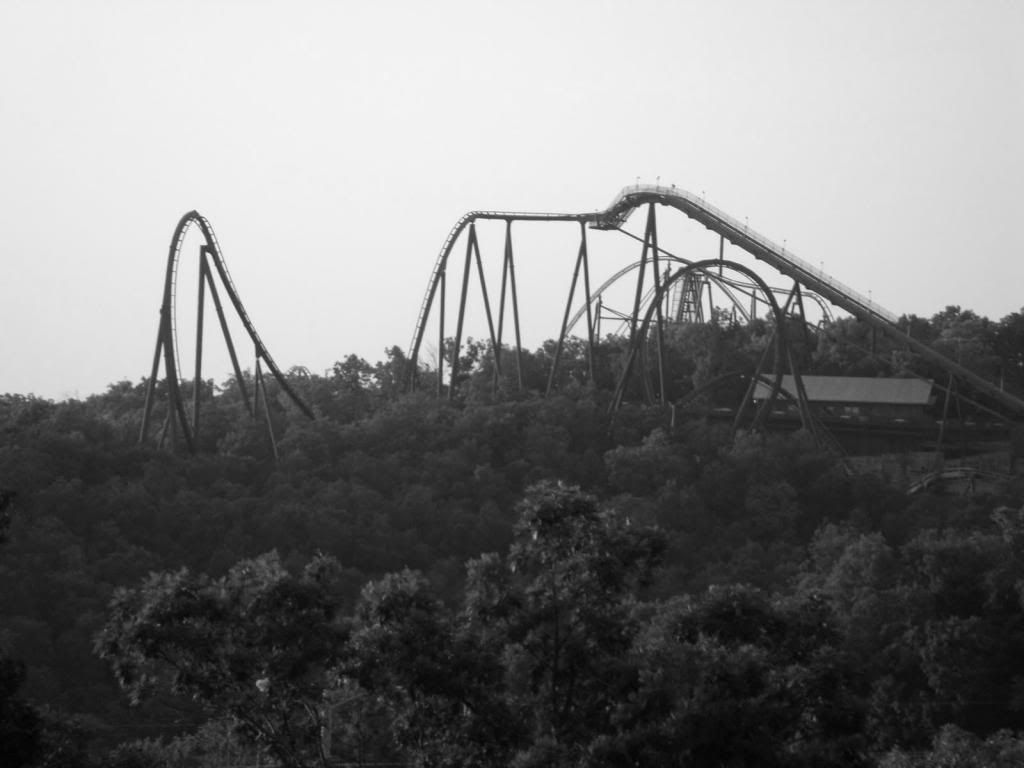 [Image: 360a46e1-c854-44b6-913a-d539534a8554_zpsad046435.jpg]
