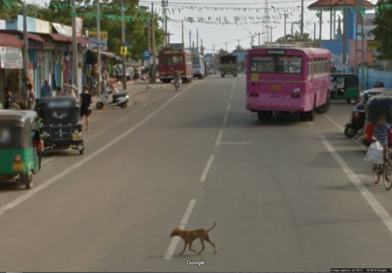 Why did the dog cross the road?