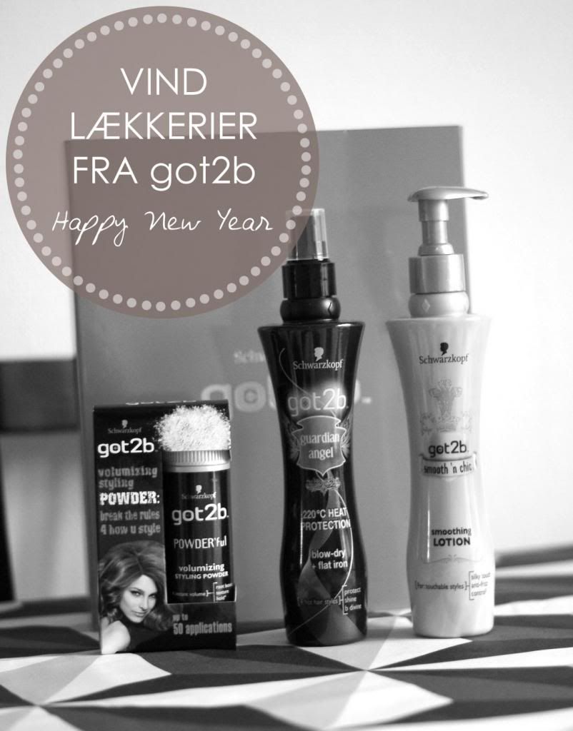 photo Vind-got2b-laeligkkerrier_zpse9731374.jpg