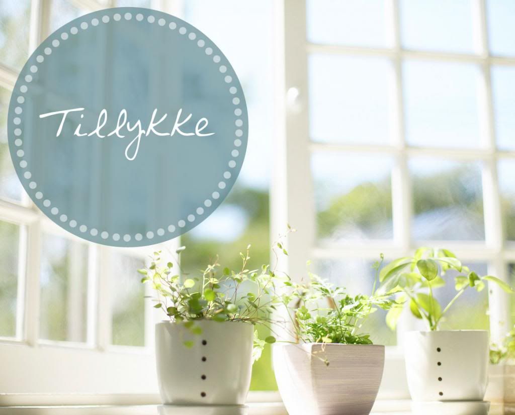 photo tillykke-vinder-itsmypassions_zps3d47b3f5.jpg