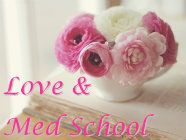 loveandmedschool