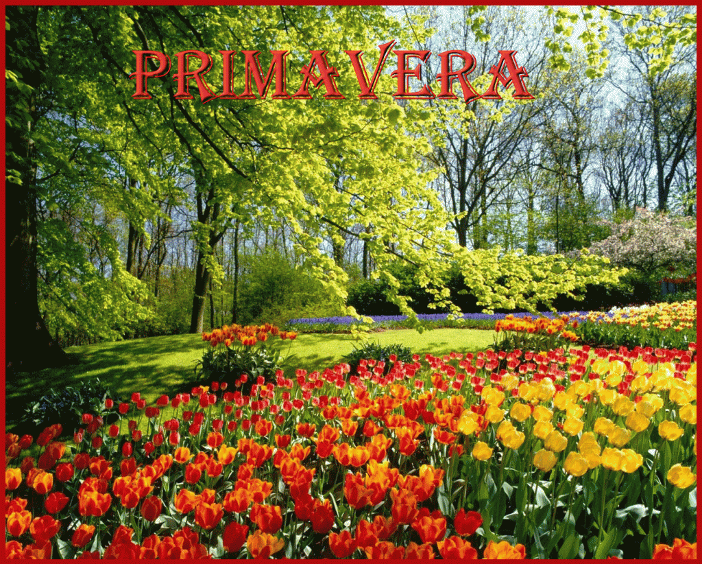  photo PaesaggioPrimaverile_zps4b9f0ebb.gif