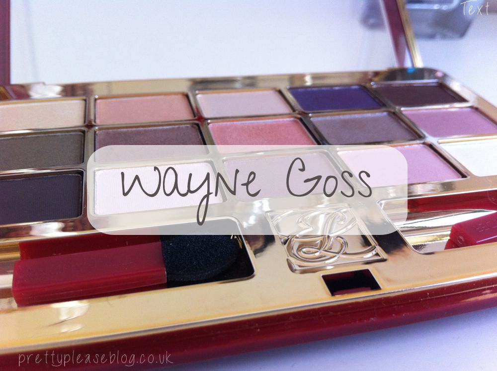 Wayne Goss Makeup Artist