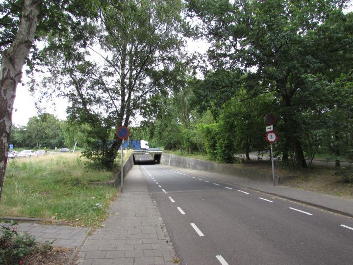 Stertocht