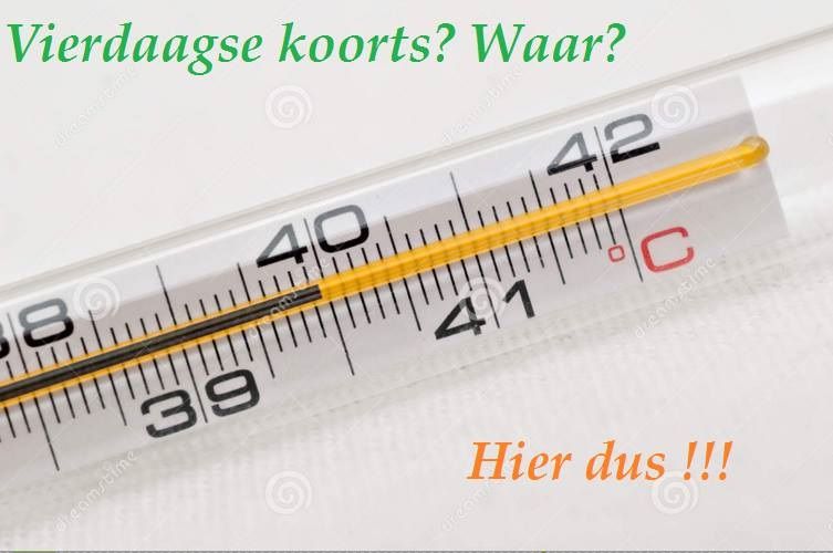 Koorts