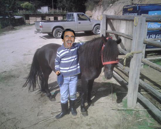 pony_zpsf97575d6.png