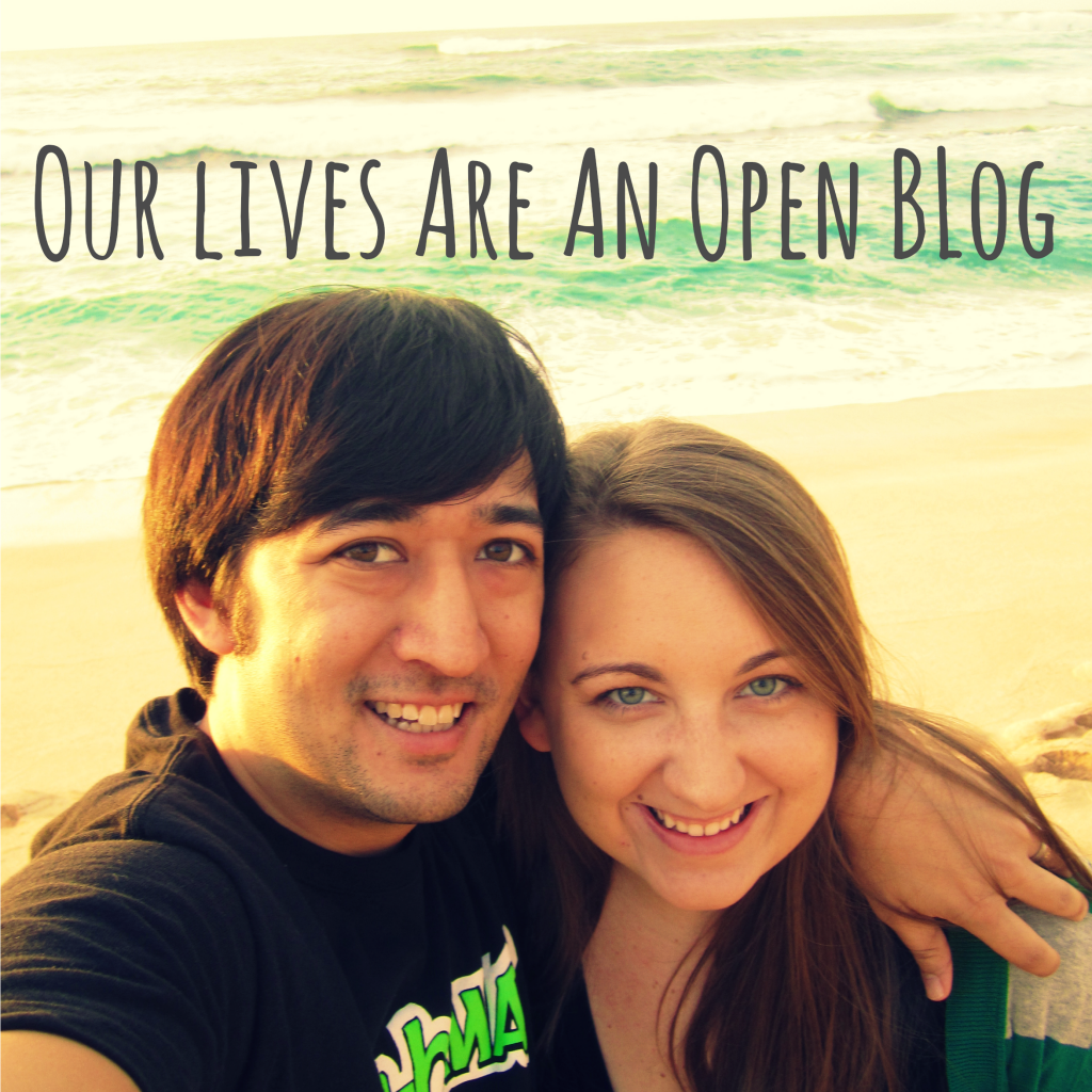 Our Lives Are An Open Blog