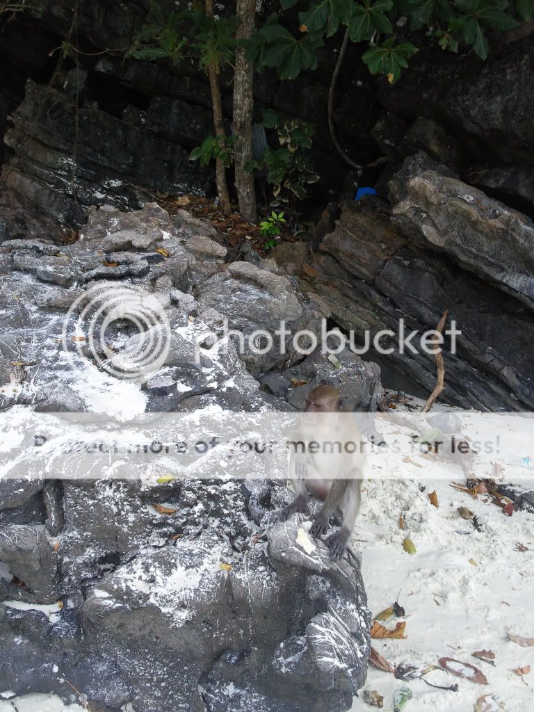 Photobucket Pictures, Images and Photos