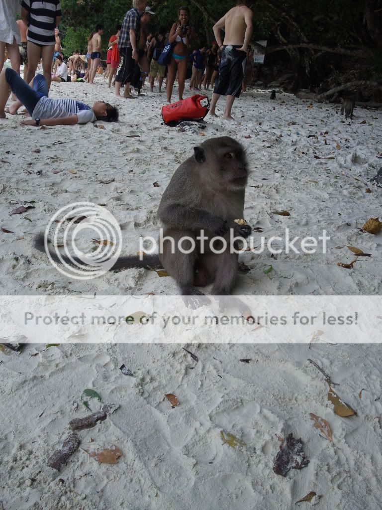 Photobucket Pictures, Images and Photos