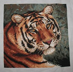 photo tiger8_zpsddb292db.jpg