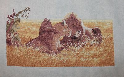 photo lions4_zpsb6141288.jpg