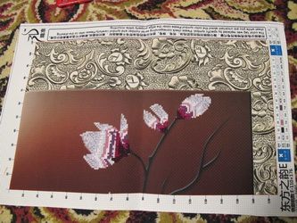 photo IMG_0294_zpsbe2d31c6.jpg