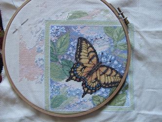 photo IMG_0391_zps3cbd477a.jpg