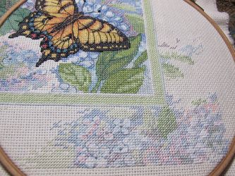 photo IMG_1910_zpsc666d3b1.jpg