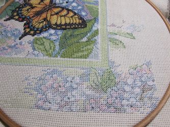 photo IMG_1941_zps88d21ee0.jpg