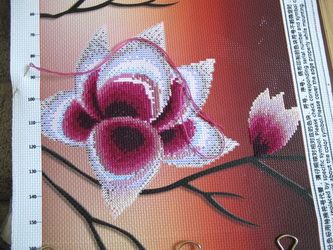 photo IMG_2423_zps786adaa6.jpg