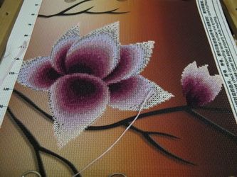 photo IMG_2600_zps4bc3bcc0.jpg