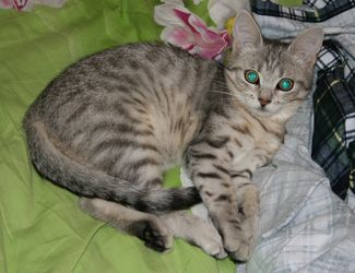 photo IMG_6549_zps0ee9c9ea.jpg