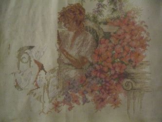 photo IMG_5831_zps3d1ead17.jpg