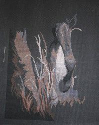 photo 172n_zpsczikjvr7.jpg