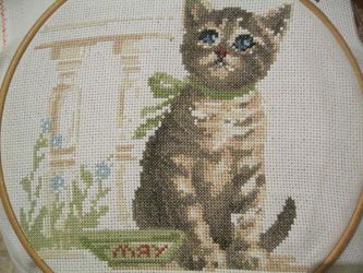 photo IMG_5952_zpsa4vvyb7e.jpg