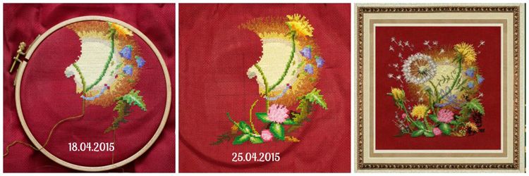 photo llappa180_zpsmeqyza04.jpg