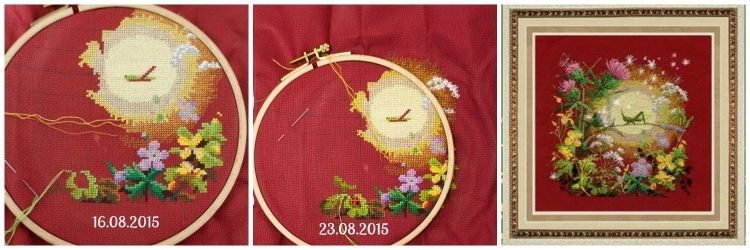 photo llappa196_zpspxly8cnz.jpg