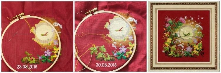 photo llappa197_zpsbvebkhqq.jpg