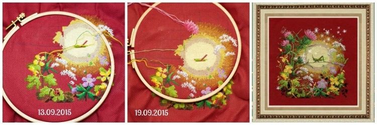 photo llappa199_zpssjlikxch.jpg