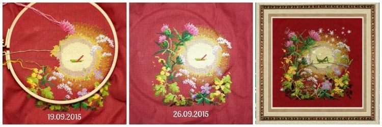 photo llappa200_zpsfbz7yxmu.jpg
