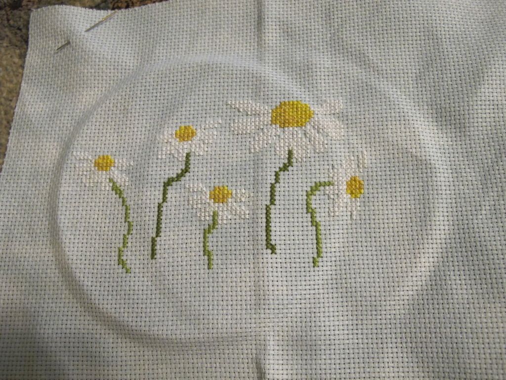 photo IMG_7828_zpsgebdkxpu.jpg