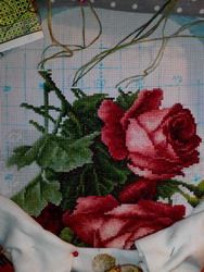 photo IMG_20160501_225306_zpsxpks9qgq.jpg