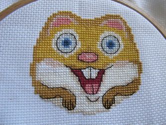 photo IMG_8374_zpszcd5p7x8.jpg