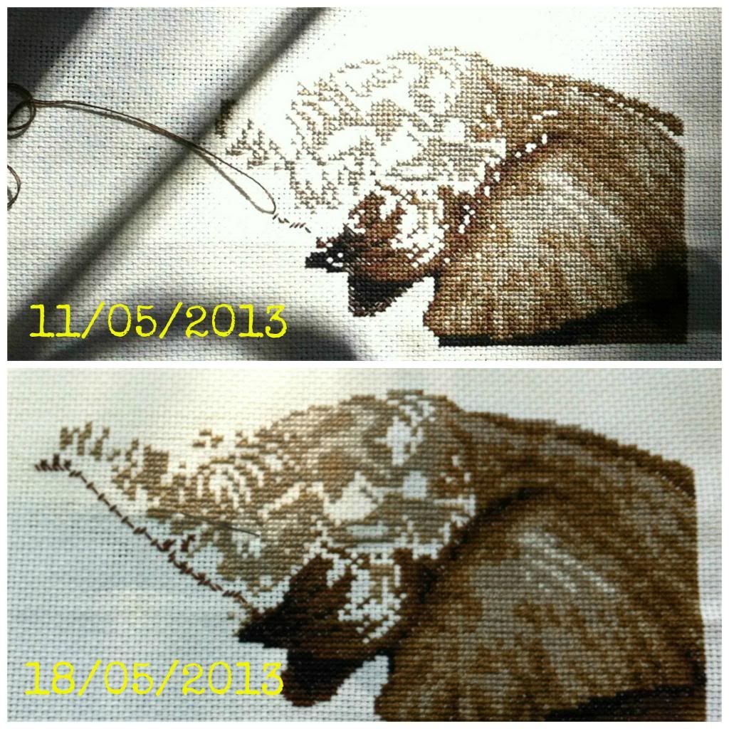 photo report92_olesys_collage_zps8a541a74.jpg