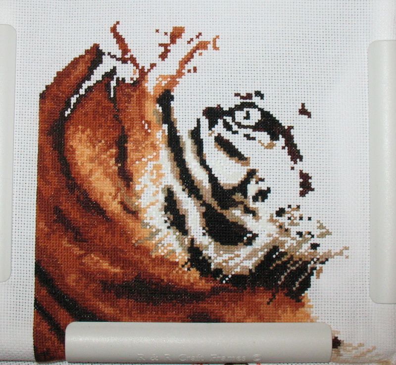 photo tiger4_zpsf1f8458f.jpg