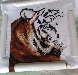 photo tiger5_zps298aa9b2.jpg