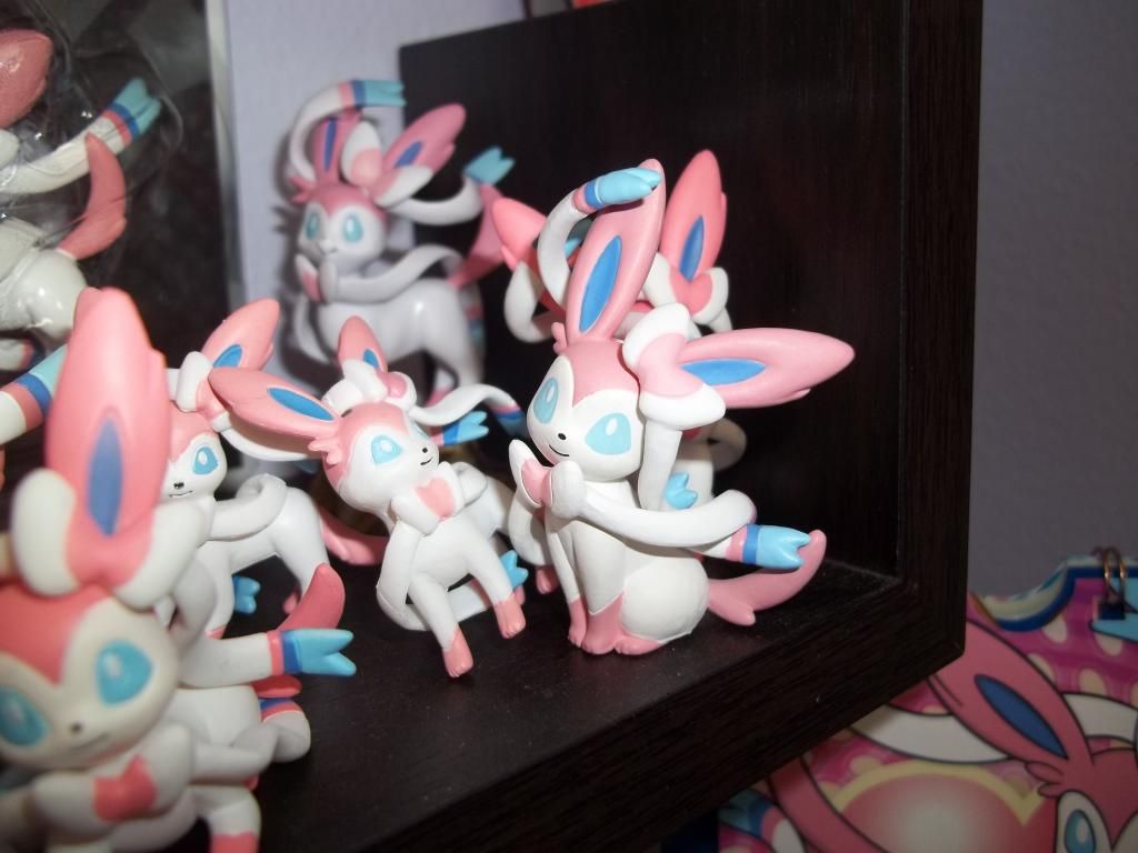 photo pkmncollectors004_zps434286f3.jpg