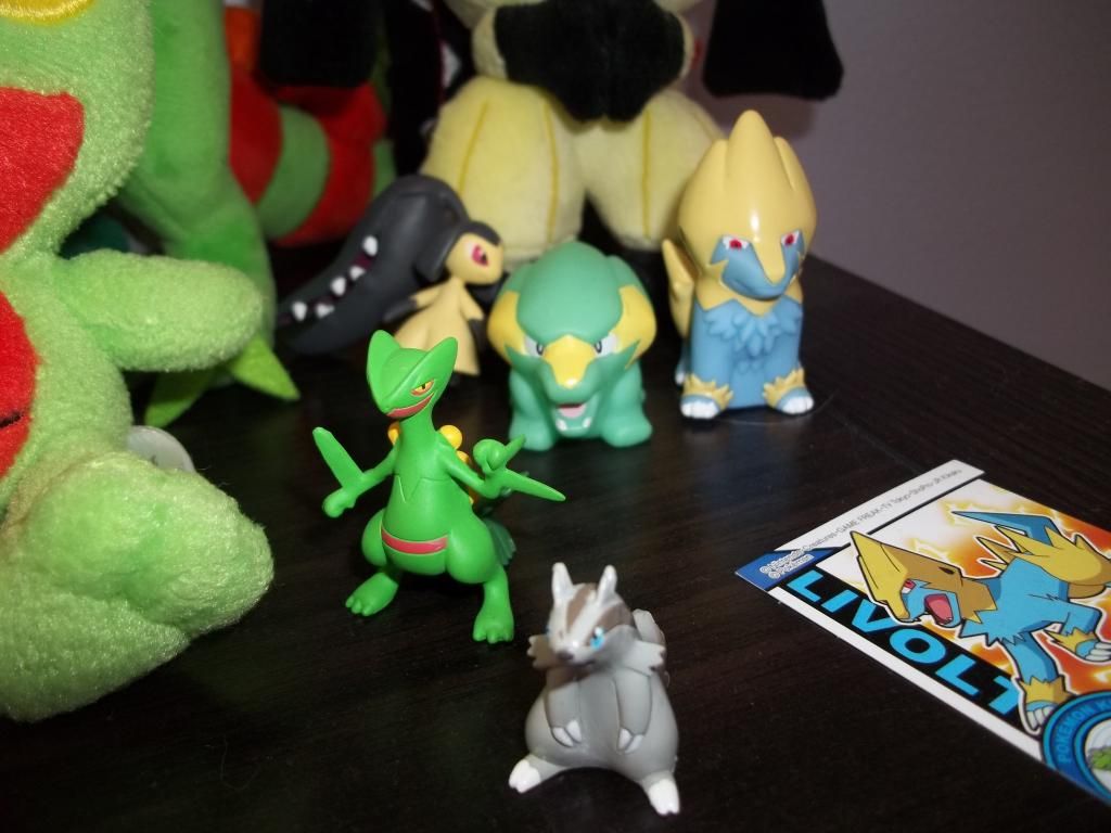 photo pkmncollectors008_zps9b5da8d3.jpg