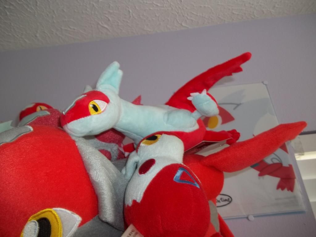 photo pkmncollectors010_zpsaf603470.jpg