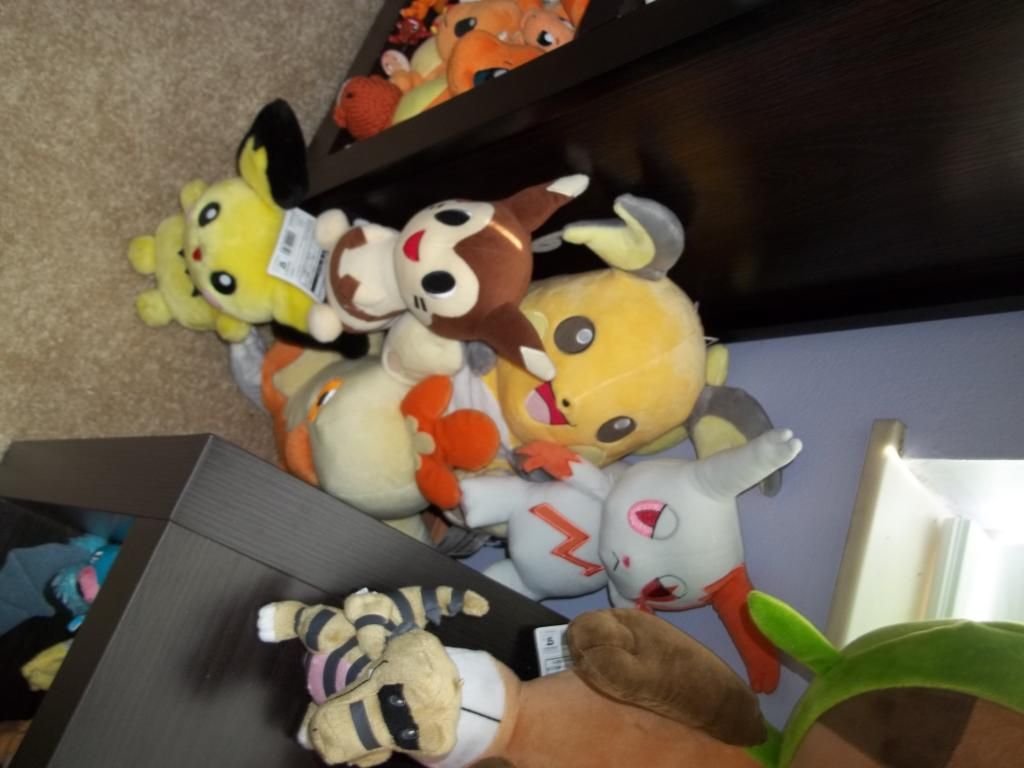 photo pkmncollectors012_zpsead7f5eb.jpg